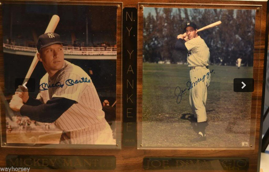 Joe Morgan Baseball Hall of Fame 24 x 8 Framed Plaque Art